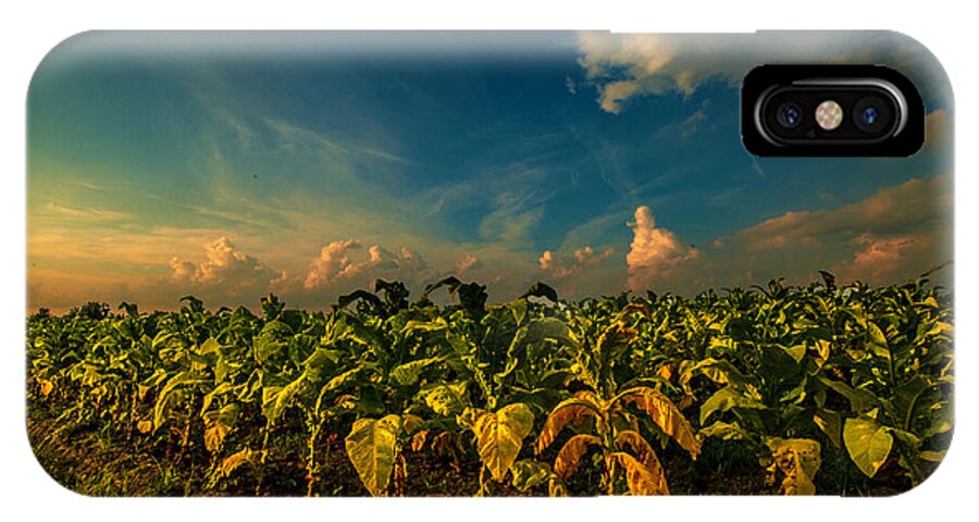 Summer Tobacco Framed Prints iPhone X Case featuring the photograph Summer Tobacco by John Harding