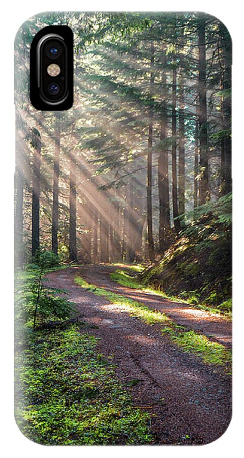 Landscape iPhone X Case featuring the photograph Sunbeam in Trees portrait by Jason Brooks