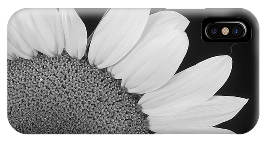 Sunflowers iPhone X Case featuring the photograph Sunflower Three Quarter by James BO Insogna