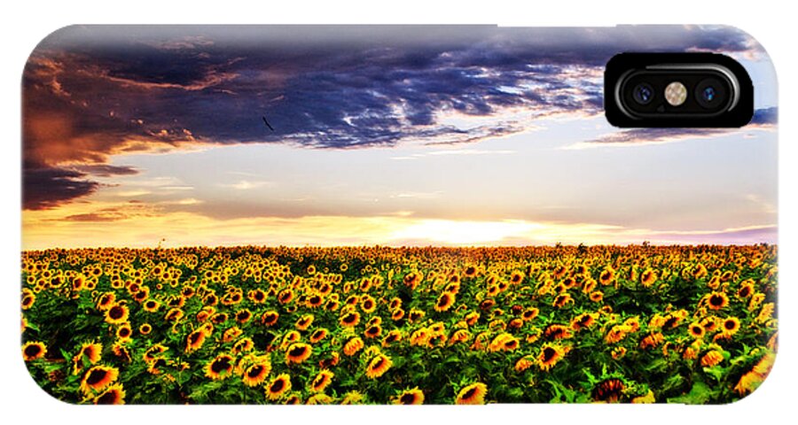 Clouds iPhone X Case featuring the photograph Sunflowers at Sunset by Eric Benjamin