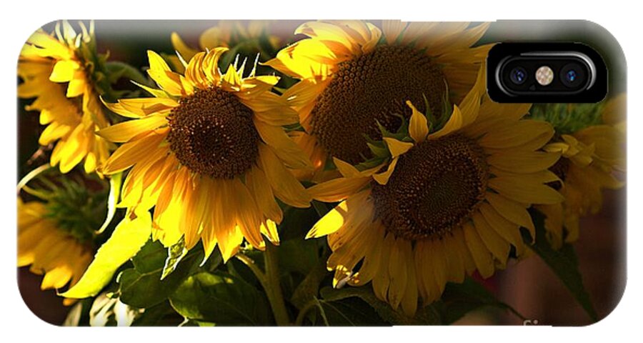 Sunflowers iPhone X Case featuring the photograph Sunflowers in a vase by Amalia Suruceanu