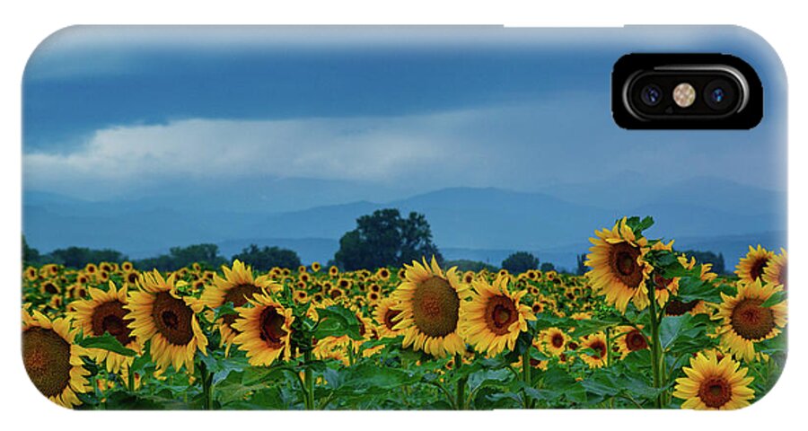 Colorado iPhone X Case featuring the photograph Sunflowers Under A Stormy Sky by John De Bord