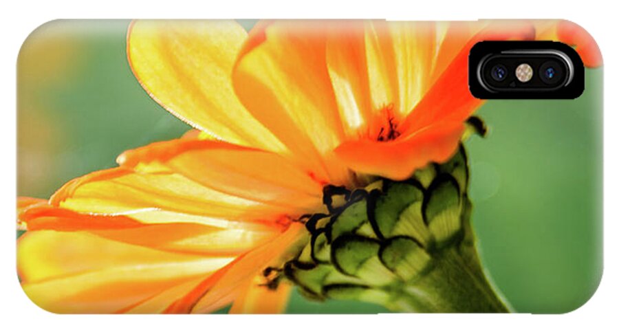 Flower iPhone X Case featuring the photograph Sunny Side by Kathy King