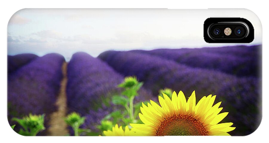 Lavender iPhone X Case featuring the photograph Sunrise over Sunflower and Lavender Field by Anastasy Yarmolovich