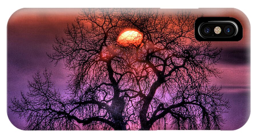 Sunrise iPhone X Case featuring the photograph Sunrise Through The Foggy Tree by Scott Mahon