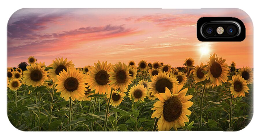 Sunflowers iPhone X Case featuring the photograph Sunset Choir by Kim Carpentier