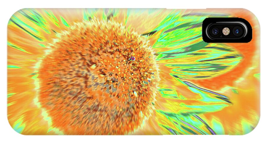 Sunflowers iPhone X Case featuring the photograph Suntango by Cris Fulton