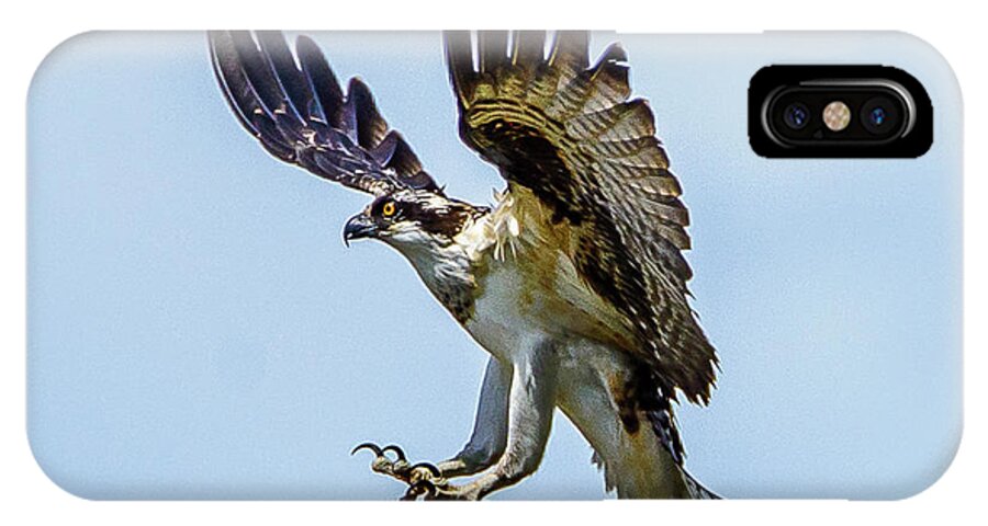 Osprey iPhone X Case featuring the photograph Suspended Osprey by Jerry Cahill