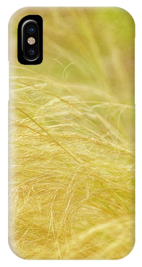 Grass iPhone X Case featuring the photograph Swaying by Diane Fifield
