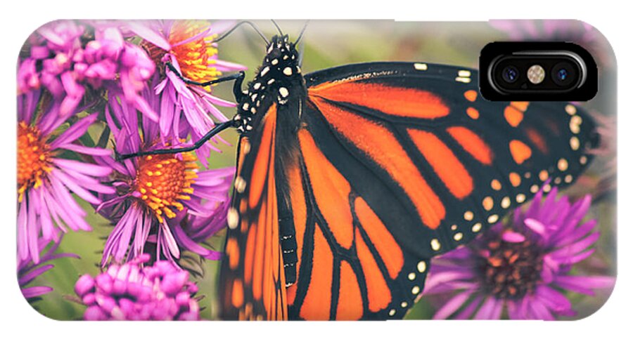 Monarch Butterfly iPhone X Case featuring the photograph Sweet Surrender by Viviana Nadowski
