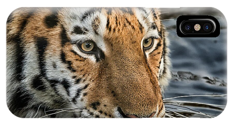 Tiger iPhone X Case featuring the photograph Swimming Tiger by Chris Boulton