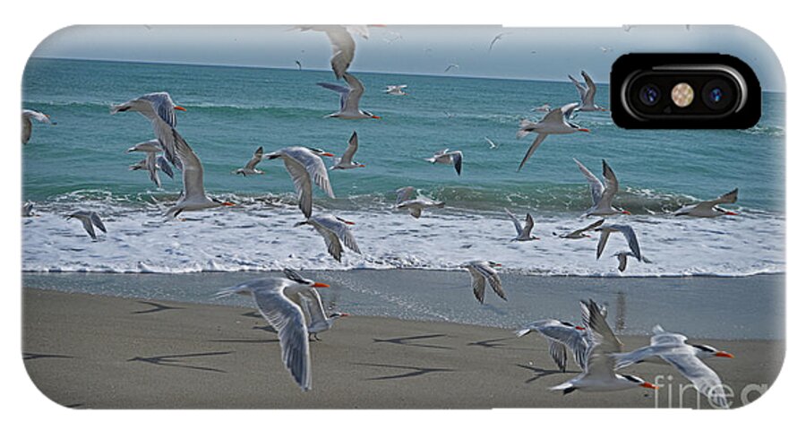 Birds iPhone X Case featuring the photograph Take Flight by George D Gordon III
