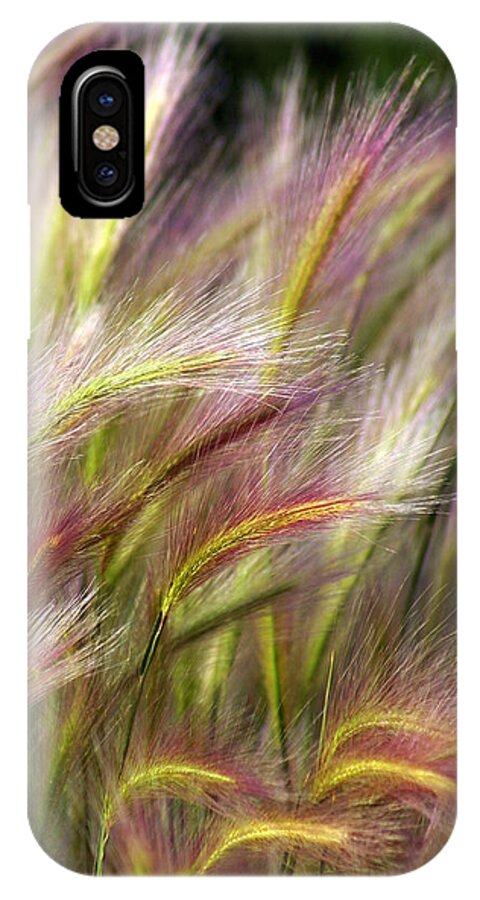 Plants iPhone X Case featuring the photograph Tall Grass by Marty Koch