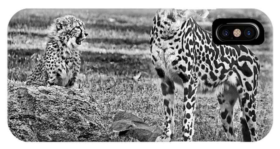 #cheetah iPhone X Case featuring the photograph Thats A Yawn by Miroslava Jurcik