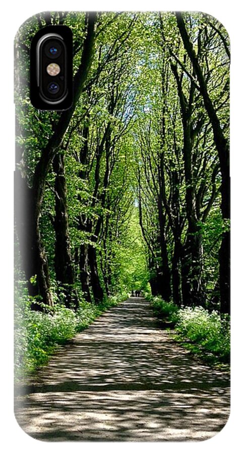 Mill Park Preston iPhone X Case featuring the photograph The Avenue of Limes At Mill Park 3 by Joan-Violet Stretch