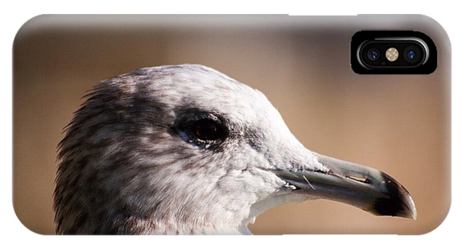 Bird iPhone X Case featuring the photograph The best side of the gull by Lora Lee Chapman