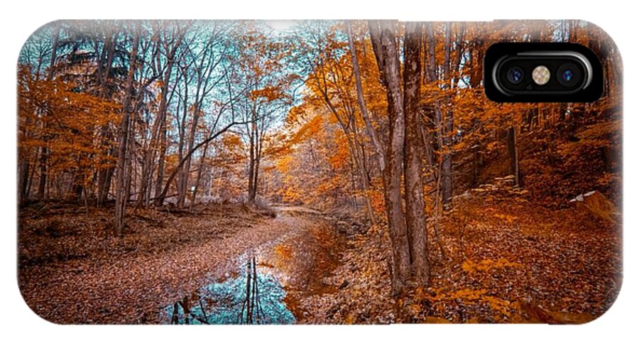  Landscapes iPhone X Case featuring the digital art The Color of Fall by Linda Unger