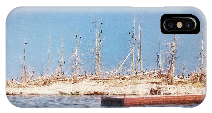 Cormorants iPhone X Case featuring the photograph The Cormorants at Deaths Door by Susan Rissi Tregoning