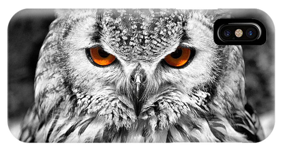 Bengal Owl iPhone X Case featuring the photograph The Eyes have it by Chris Thaxter
