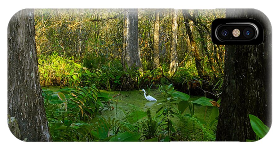Corkscrew Swamp iPhone X Case featuring the photograph The Great Corkscrew Swamp by David Lee Thompson