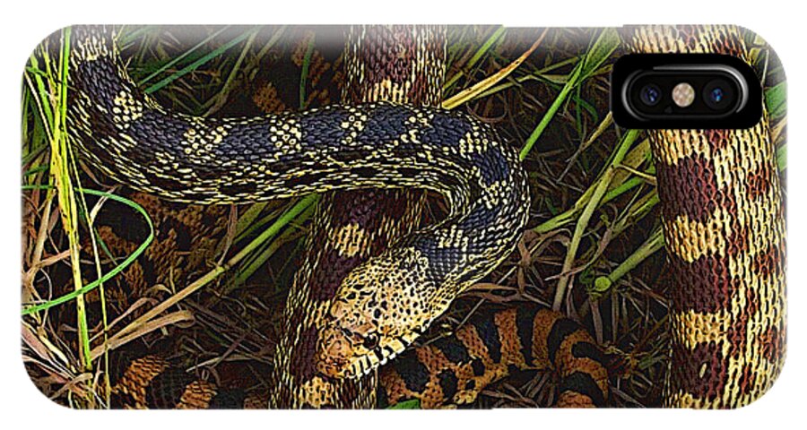 Bullsnake iPhone X Case featuring the digital art The Impersonator by Shelli Fitzpatrick