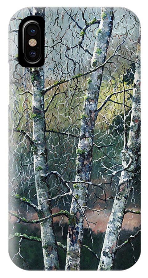 Landscape iPhone X Case featuring the painting The Kubota Three by Paul Illian