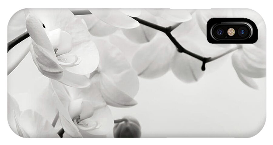 Orchid iPhone X Case featuring the photograph The Last Orchid by Wim Lanclus