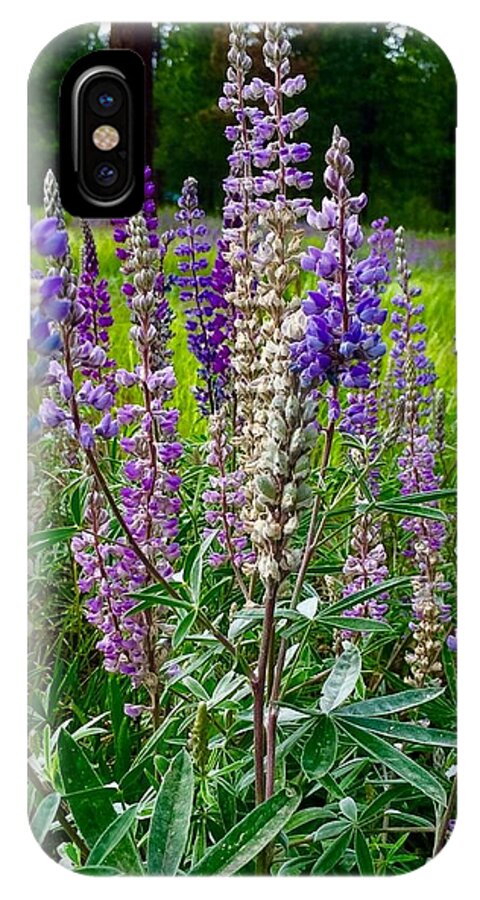 Lupines iPhone X Case featuring the photograph The Lupine Crowd by Jennifer Lake