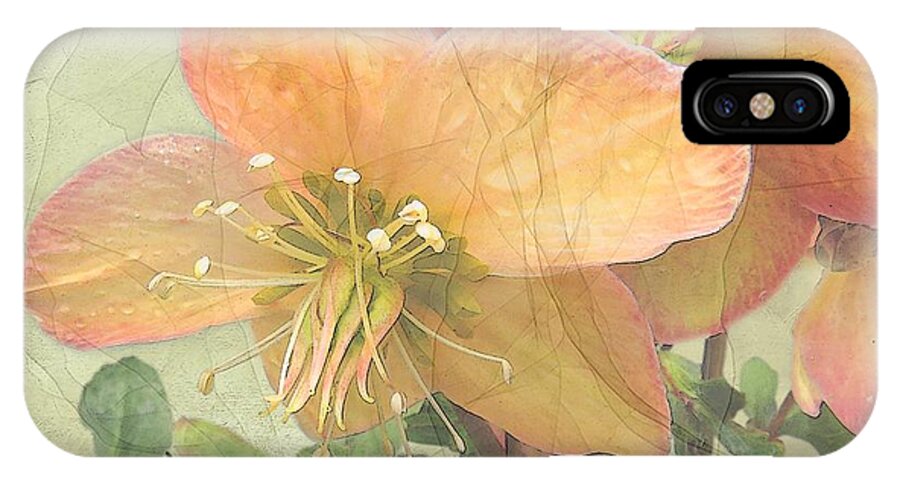 Mystical Energy iPhone X Case featuring the photograph The Mystical Energy of Nature by I'ina Van Lawick