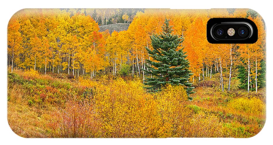 Gunnison National Forest iPhone X Case featuring the photograph The One That Stands Out by Bijan Pirnia