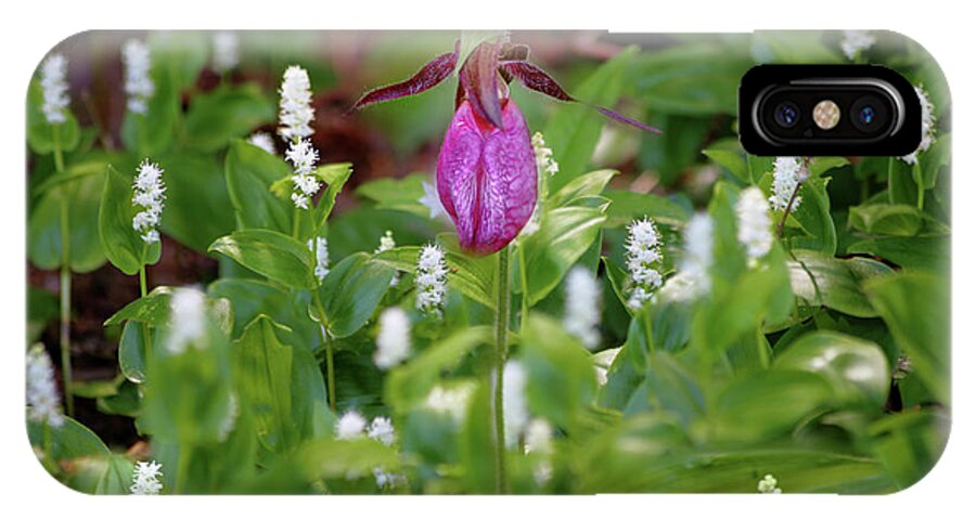 Lady Slipper iPhone X Case featuring the photograph The Queen and her Minions by John Meader