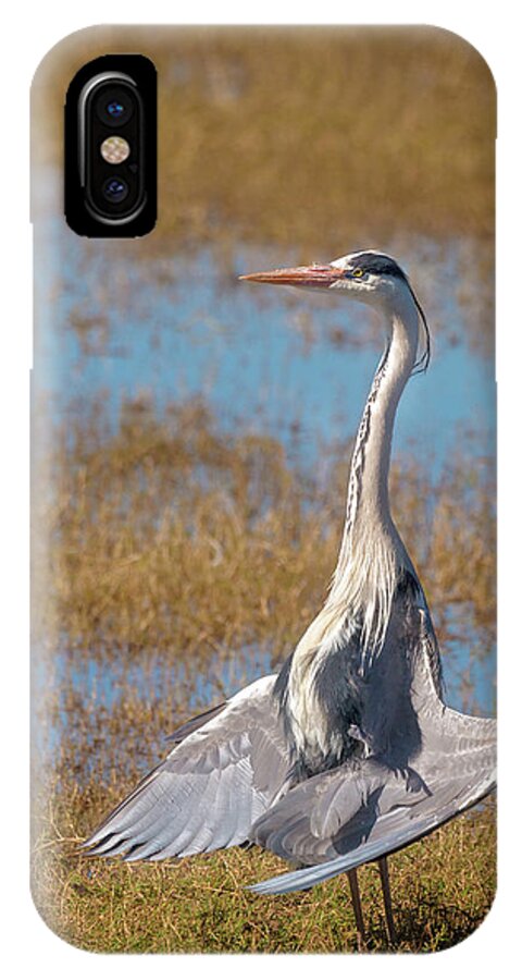 Africa iPhone X Case featuring the photograph The Sunbather by James Capo