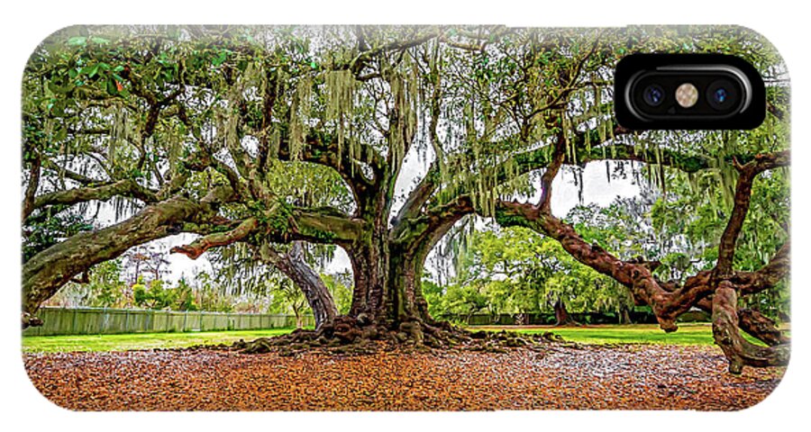 New Orleans iPhone X Case featuring the photograph The Tree of Life by Steve Harrington