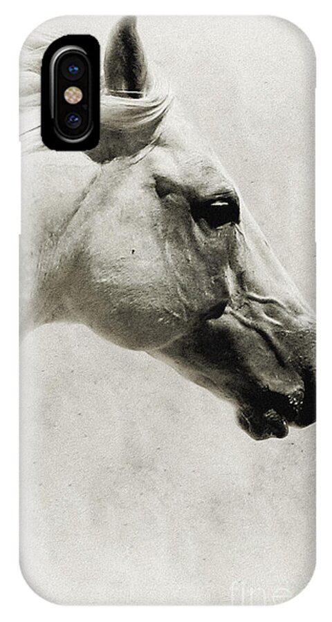 Andalusian iPhone X Case featuring the photograph The White Horse III - Art Print by Dimitar Hristov