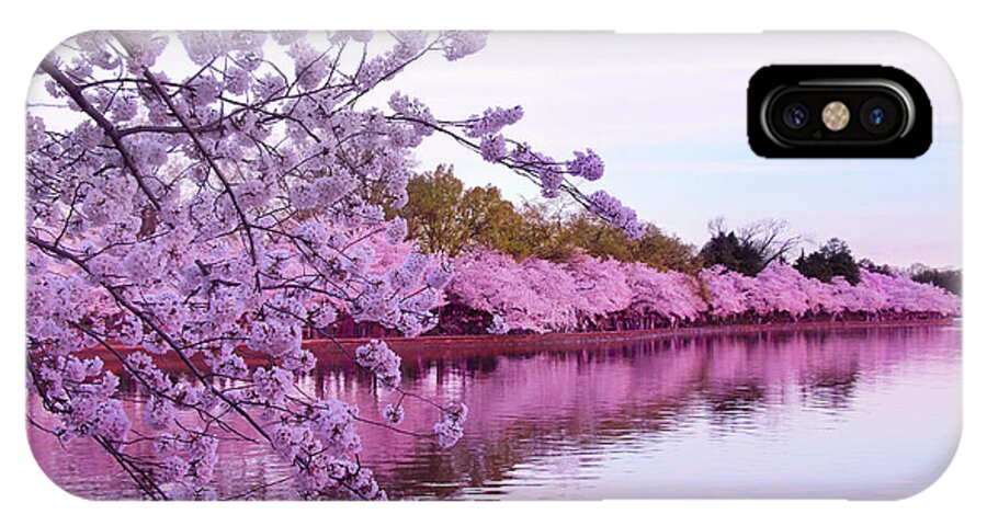Cherry Blossom iPhone X Case featuring the photograph There Was A Time by Iryna Goodall