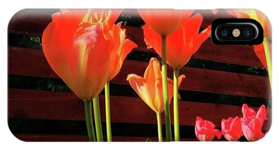 Dhphotomission iPhone X Case featuring the photograph These Are #tulips From My Back Garden by Dante Harker