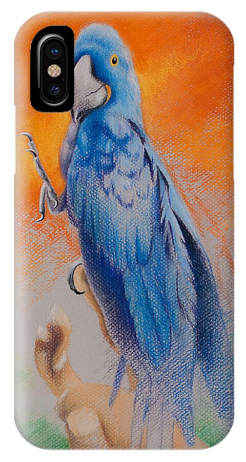 Parrot iPhone X Case featuring the painting This Bird Had Flown by Joe Winkler