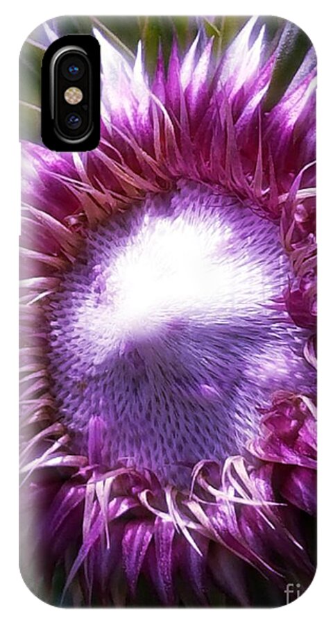 Thistle Radiance iPhone X Case featuring the photograph Thistle Radiance by Maria Urso