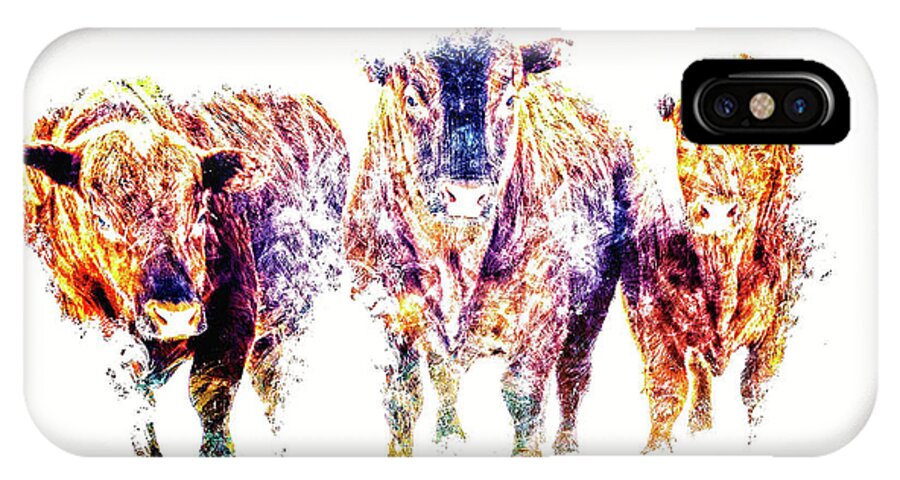 Bulls iPhone X Case featuring the photograph Three Amigos by Amanda Smith