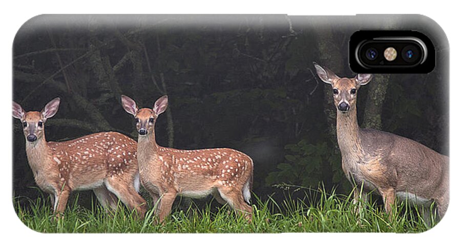 Deer iPhone X Case featuring the photograph Three Does by Ken Barrett