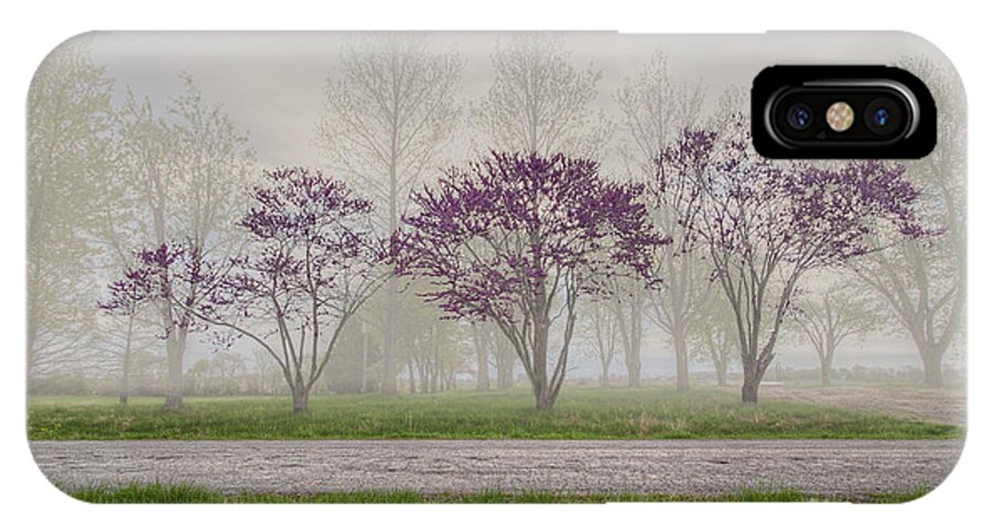 2015 iPhone X Case featuring the photograph Three Redbuds by Larry Braun