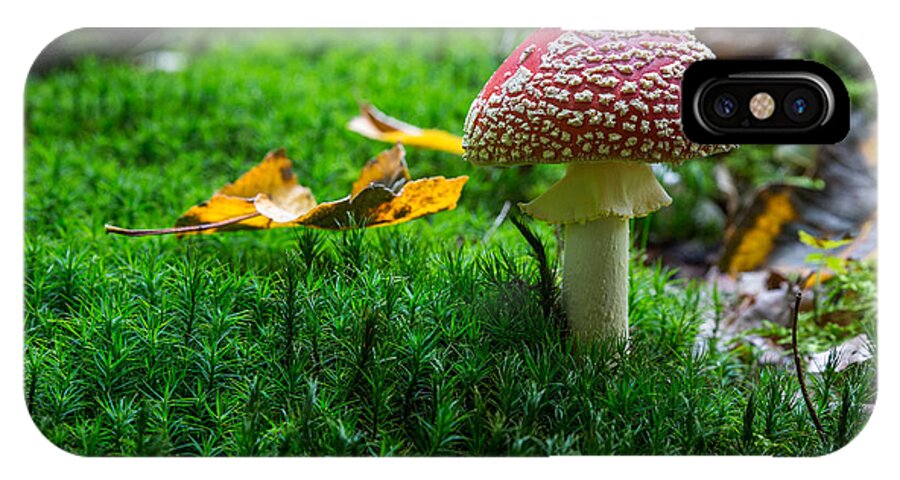 Toadstool iPhone X Case featuring the photograph Toadstool by Andreas Levi