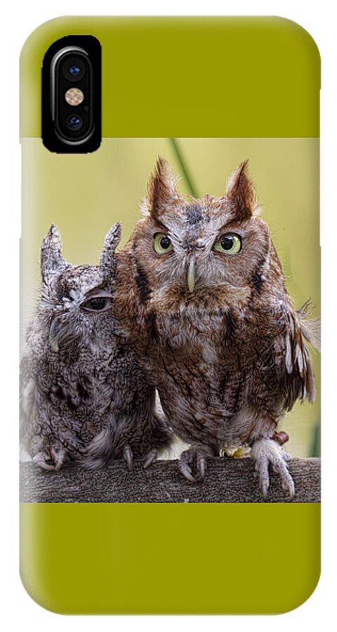 Feathers iPhone X Case featuring the photograph Togetherness by Cheri McEachin