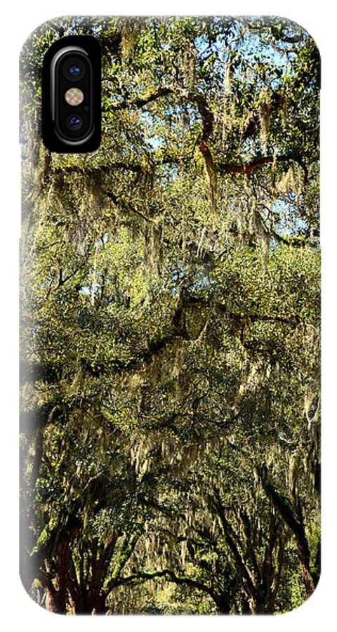 Live iPhone X Case featuring the photograph Towering Canopy by Carla Parris