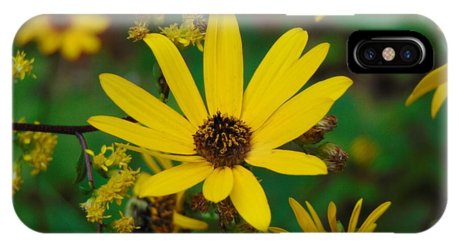 Flower iPhone X Case featuring the photograph Trail Views by Richie Parks