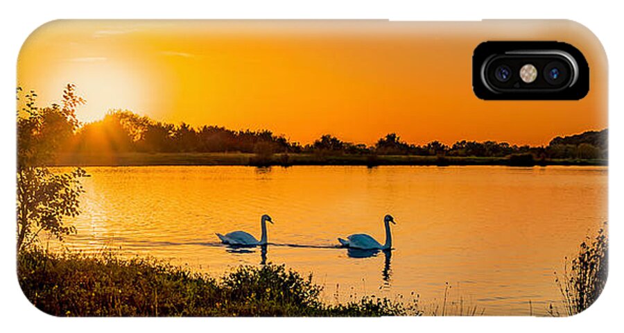 Swan iPhone X Case featuring the photograph Tranquility by Nick Bywater