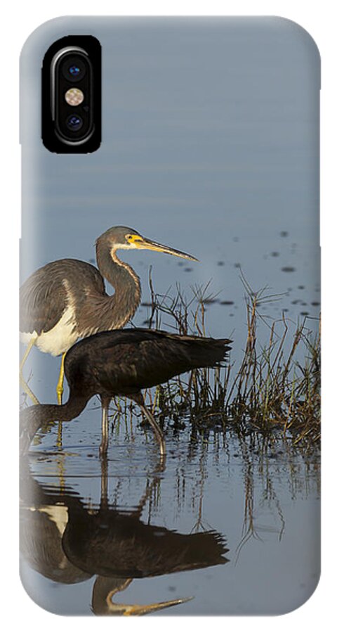 Tri-colored iPhone X Case featuring the photograph Tri-Colored Heron and Glossy Ibis by David Watkins