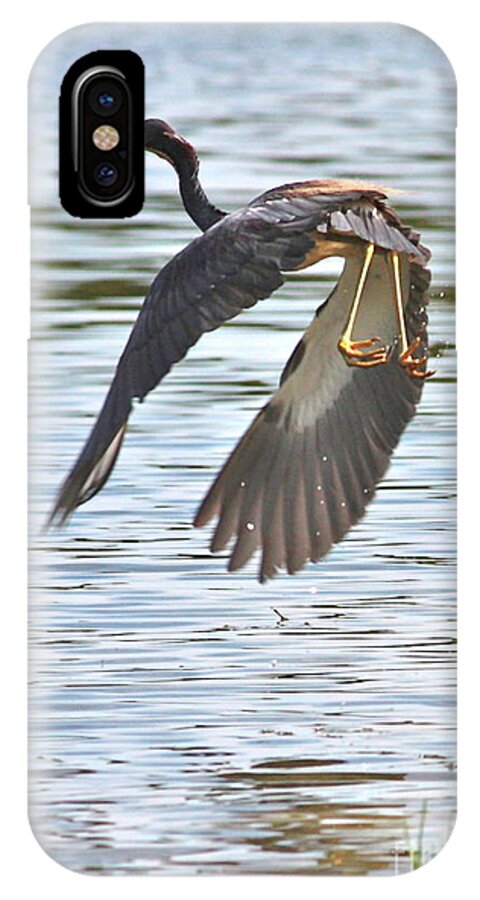 Bird iPhone X Case featuring the photograph Tri Colored Heron over the Pond by Carol Groenen