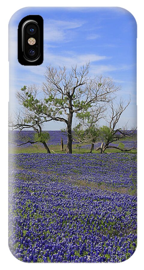 iPhone X Case featuring the photograph Trinity by Jerry Bunger