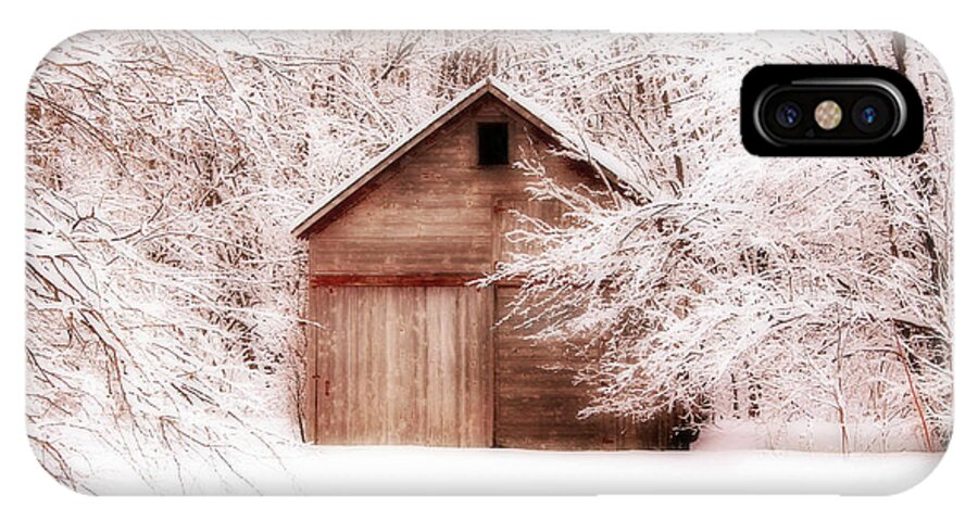 Barn iPhone X Case featuring the photograph Tucked Away by Julie Hamilton